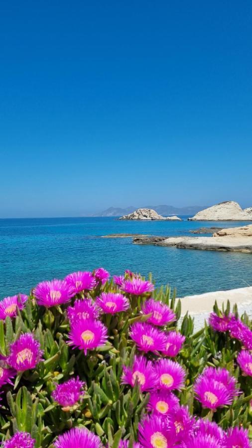 Anassa Milos House Mandrakia Exterior photo